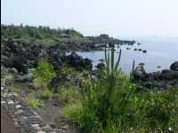 Sakurajima42