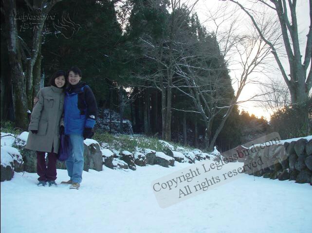 Nikko05