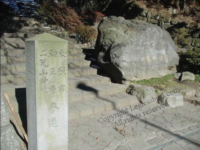 Nikko18