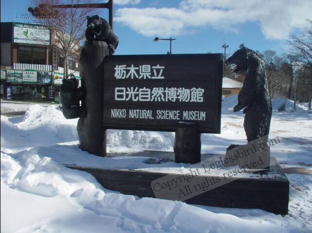 NikkoNaturalScienceMuseum
