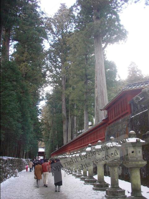 NikkoToshoguShrine24