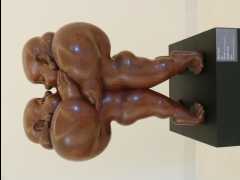 MOCA14