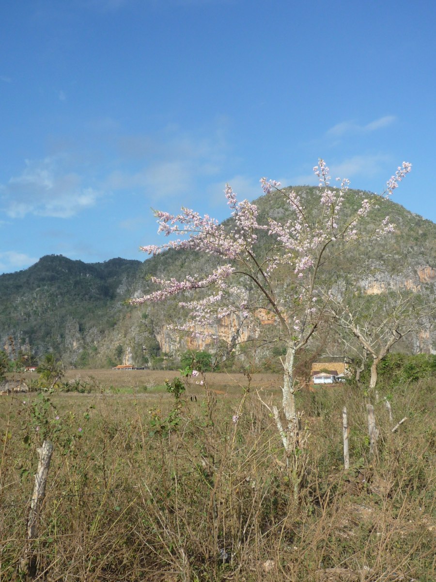 hiking003.jpg