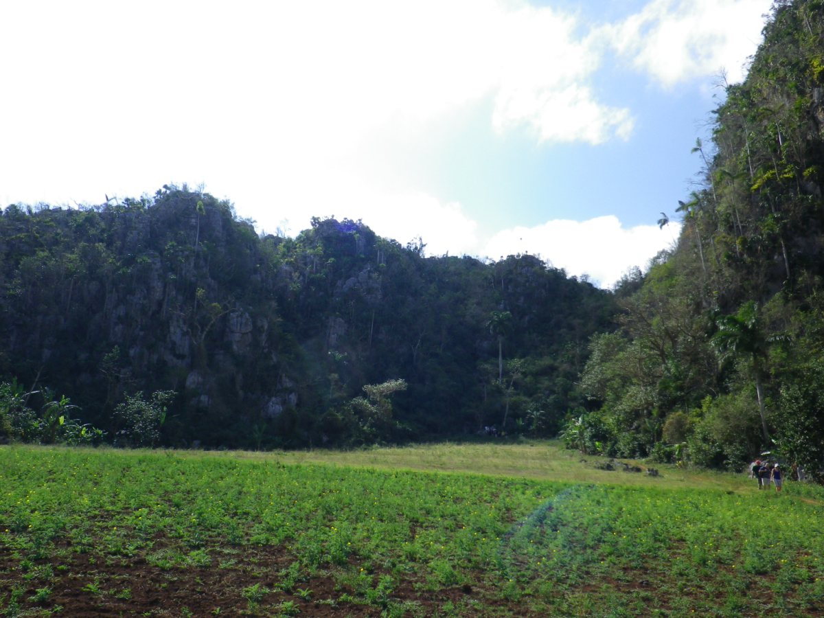 hiking047.jpg