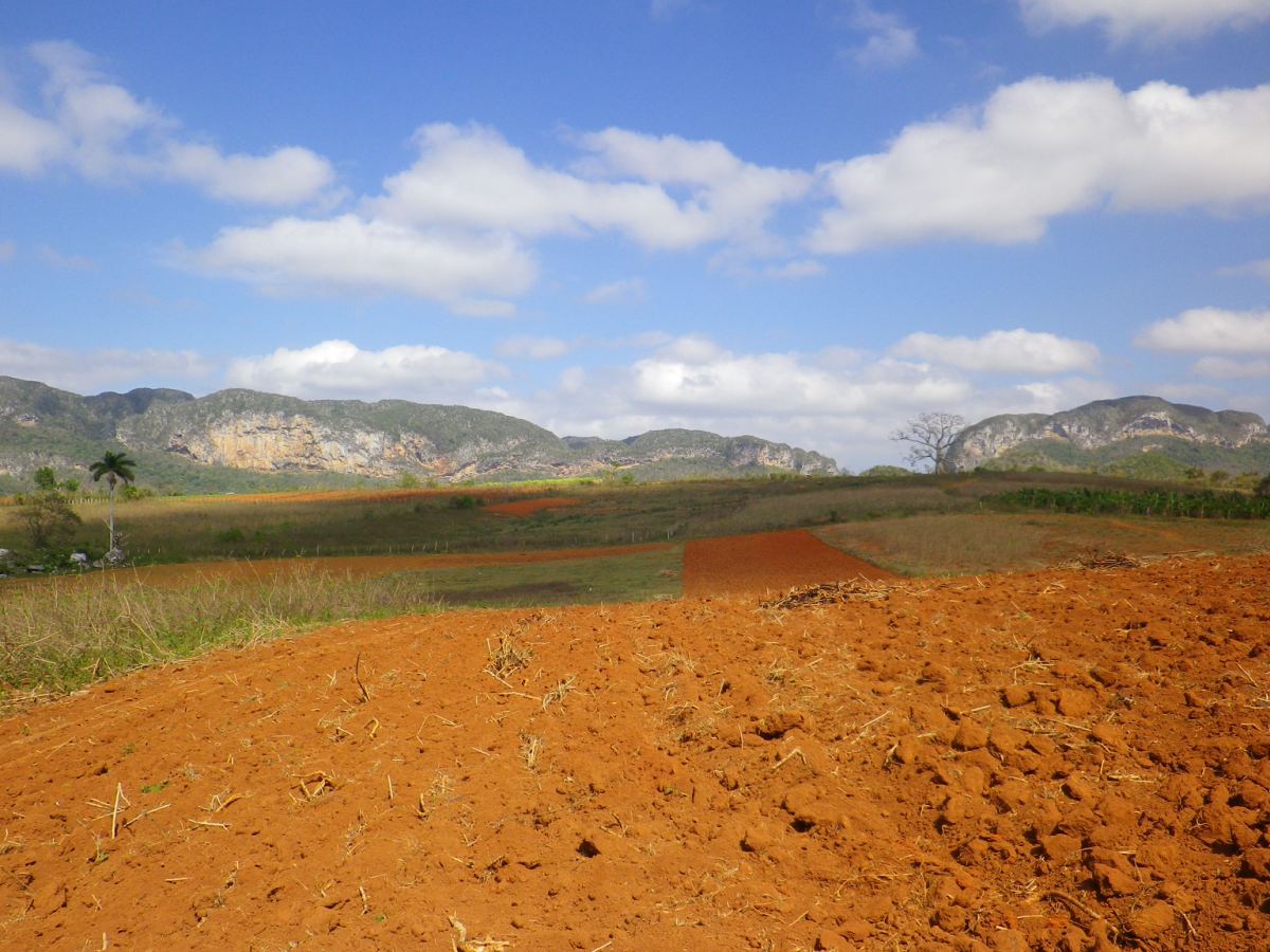 hiking048.jpg