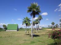 Vinales01.jpg