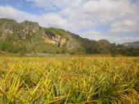 hiking016.jpg