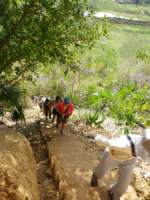 hiking031.jpg