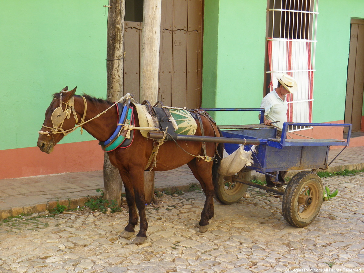 Trinadad065.jpg