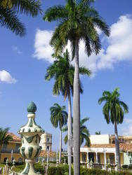 Trinadad056.jpg