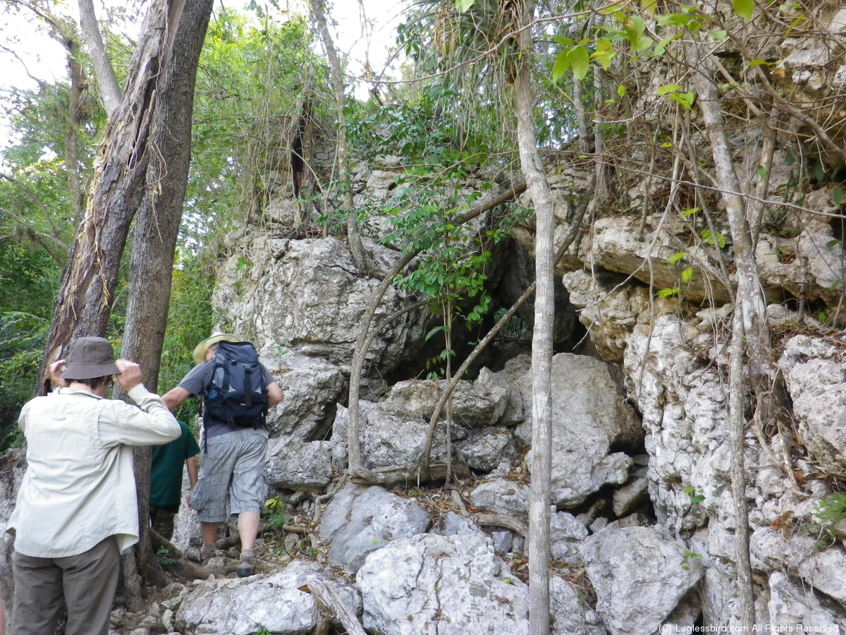 Hiking07.jpg