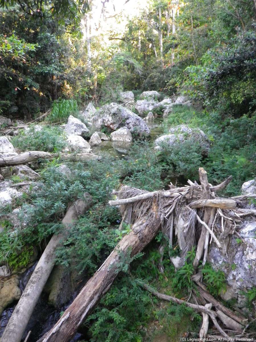 Hiking13.jpg