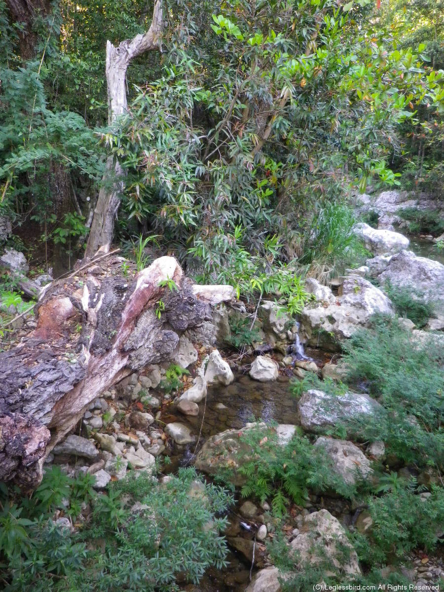 Hiking14.jpg