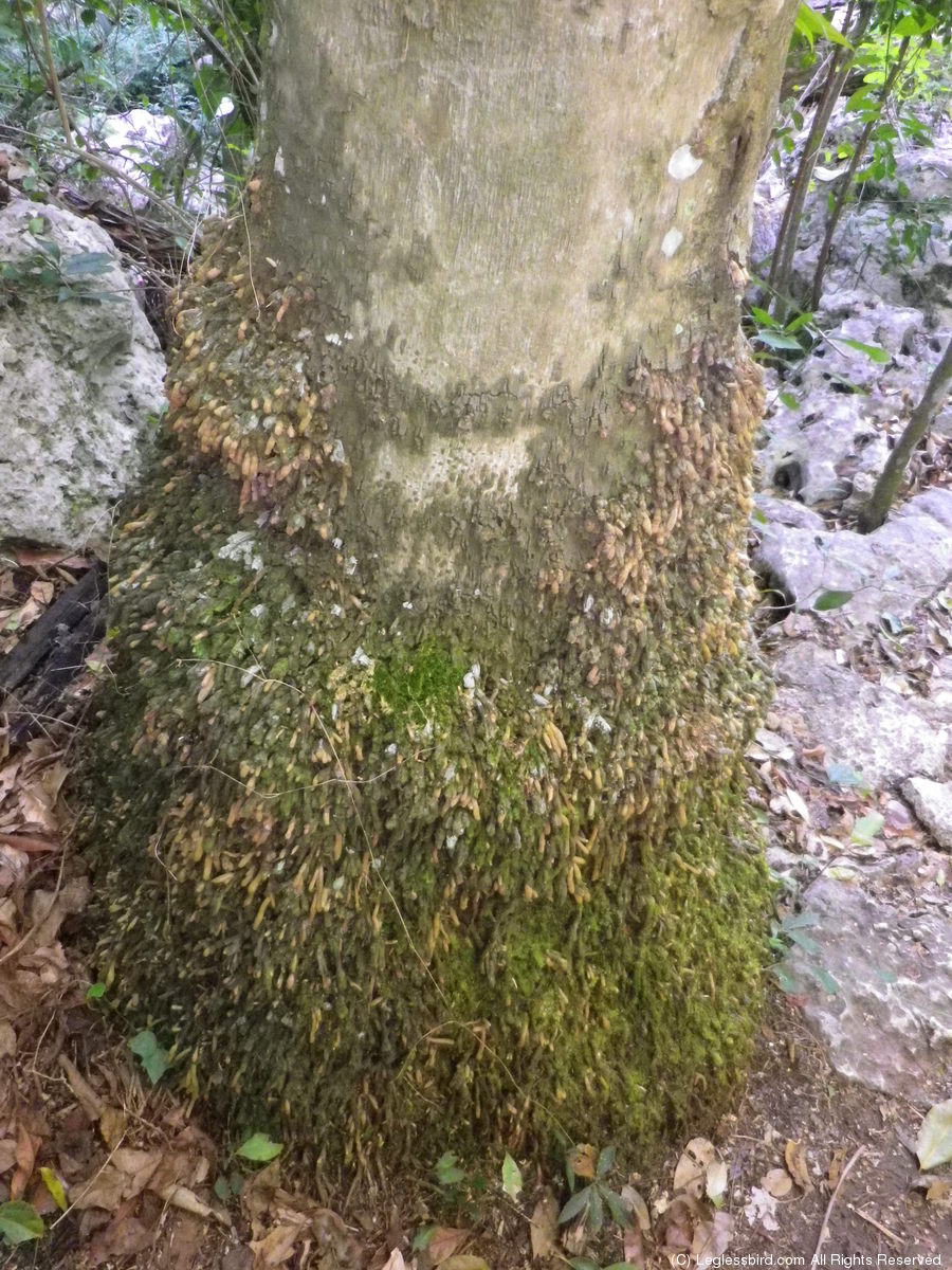 Hiking15.jpg