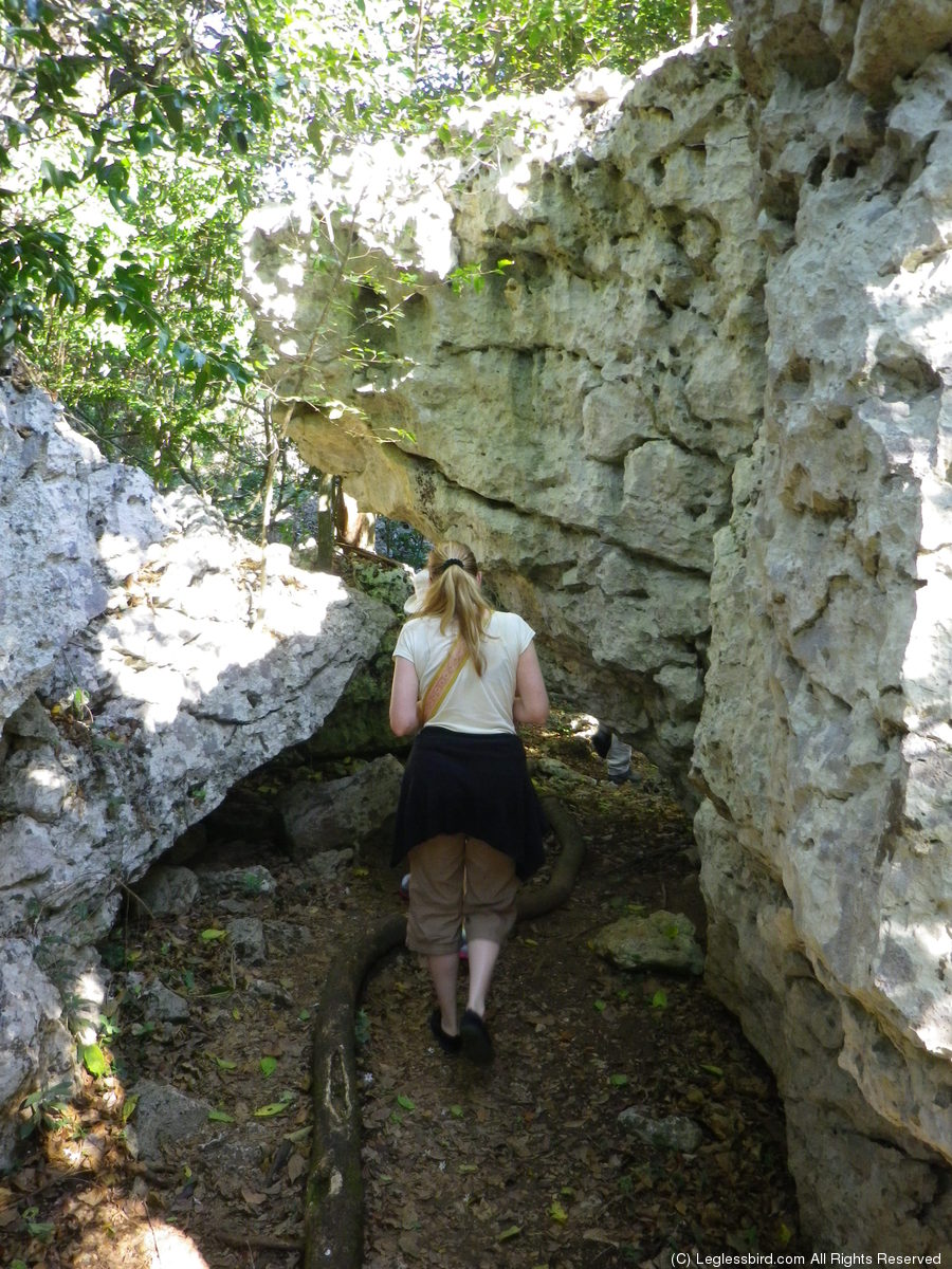Hiking16.jpg