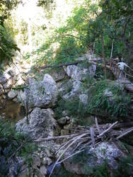 Hiking12.jpg