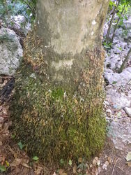 Hiking15.jpg