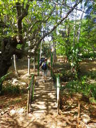 Hiking66.jpg