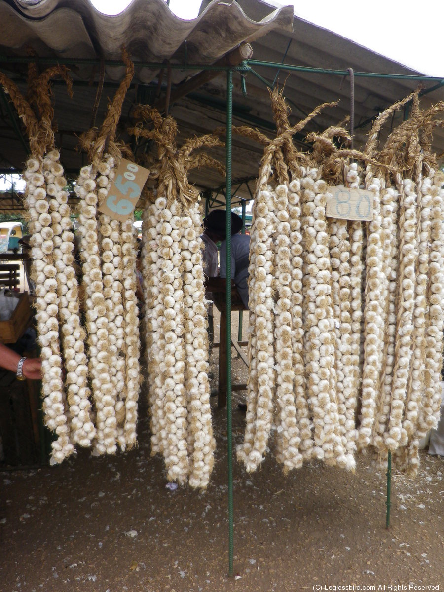 Camaguey57.jpg