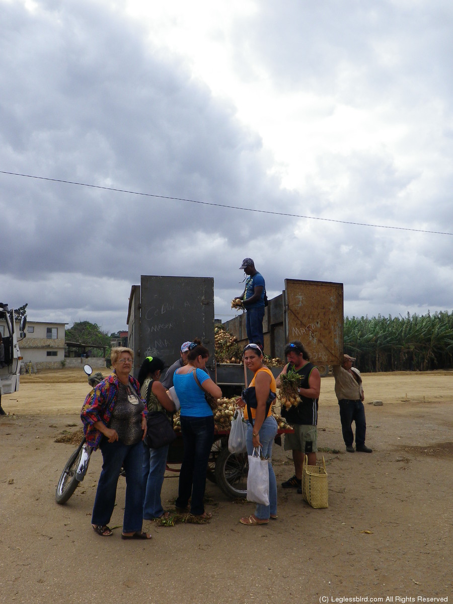 Camaguey58.jpg