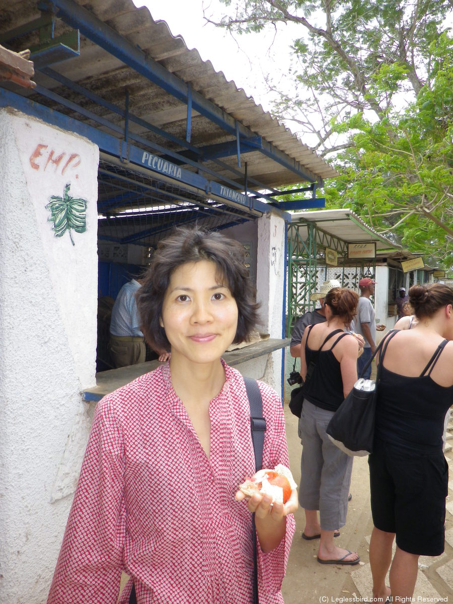 Camaguey66.jpg