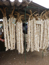 Camaguey57.jpg