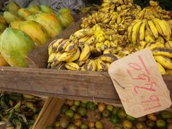 Camaguey60.jpg