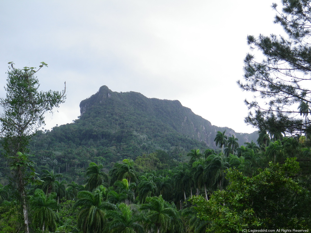 Hiking019.jpg