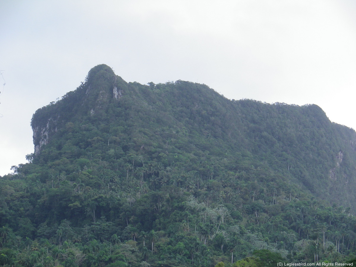 Hiking021.jpg