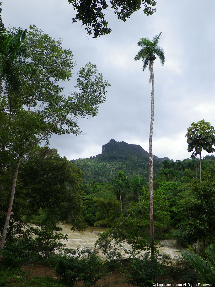 Hiking028.jpg