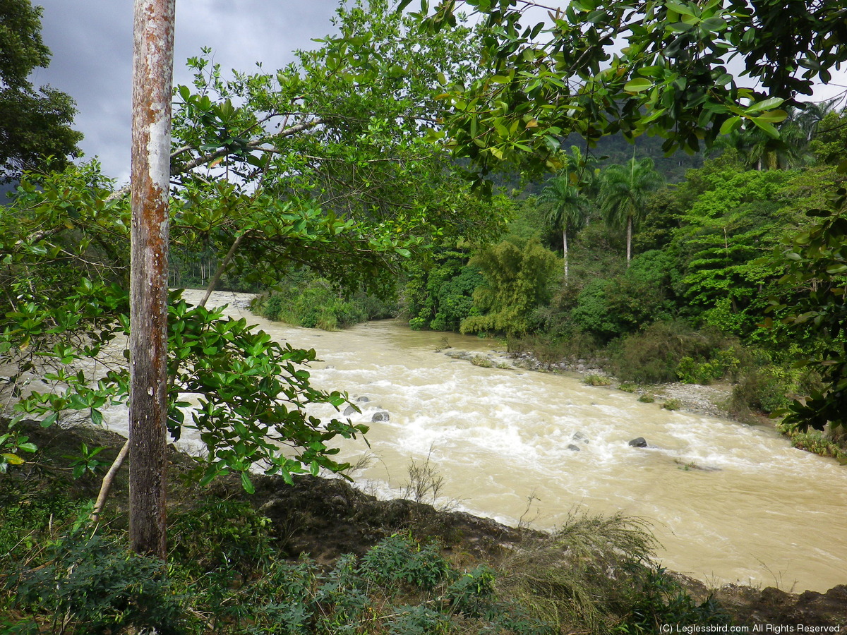 Hiking034.jpg