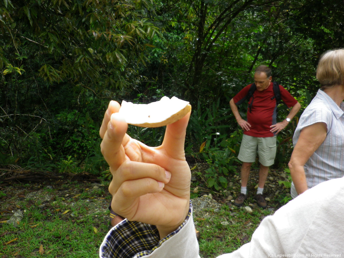 Hiking044.jpg