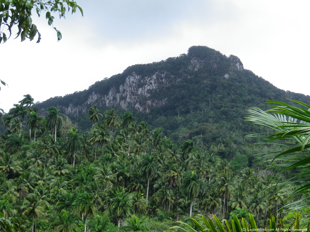Hiking053.jpg