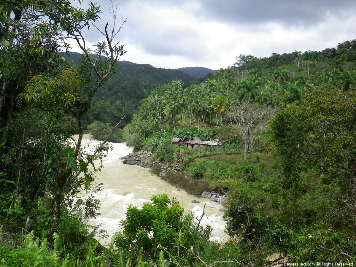 Hiking054.jpg