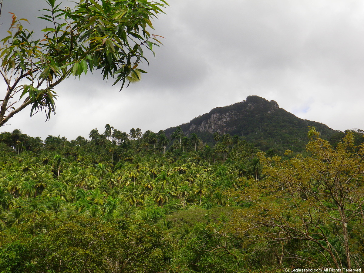 Hiking057.jpg