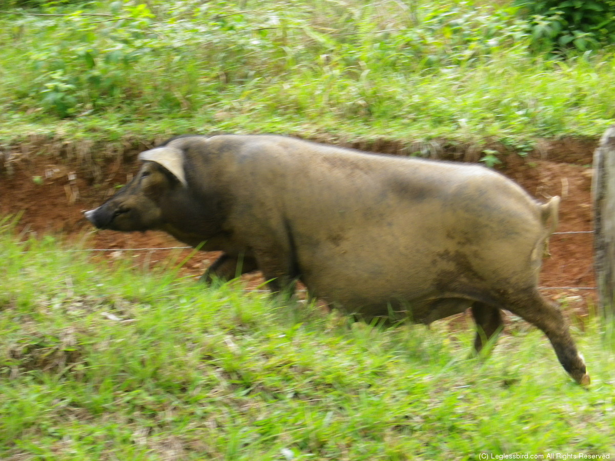 Hiking066.jpg