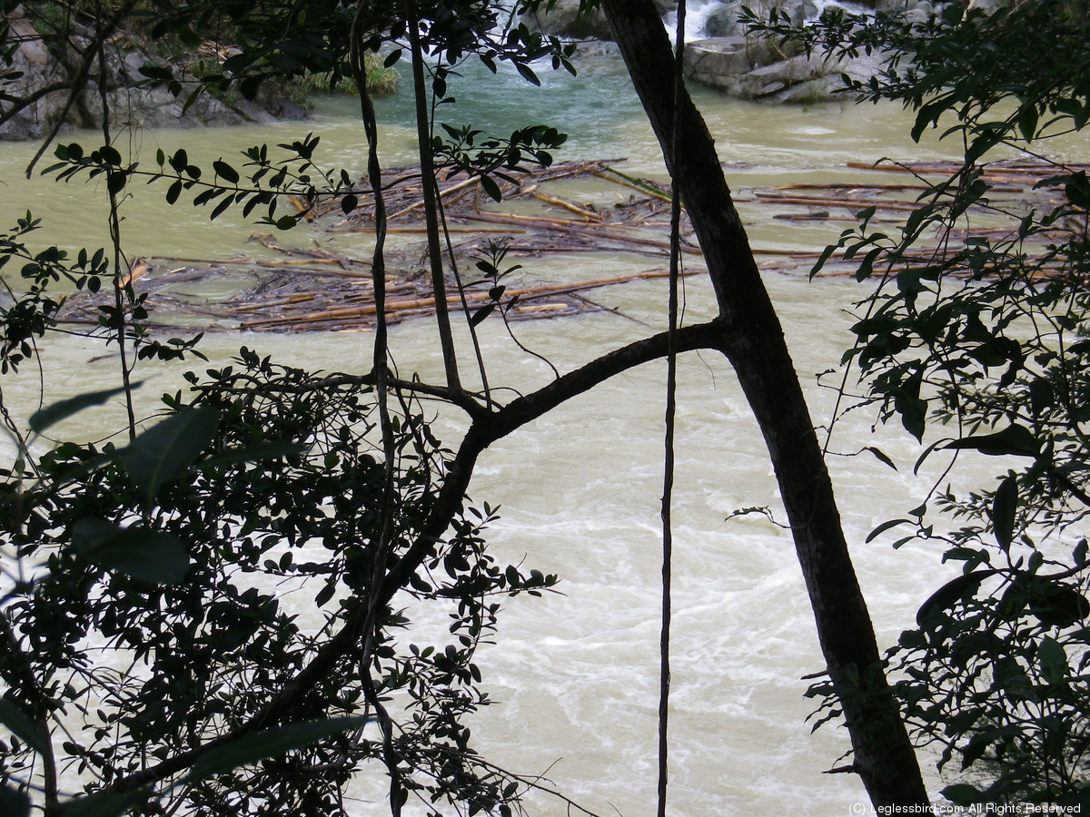 Hiking069.jpg