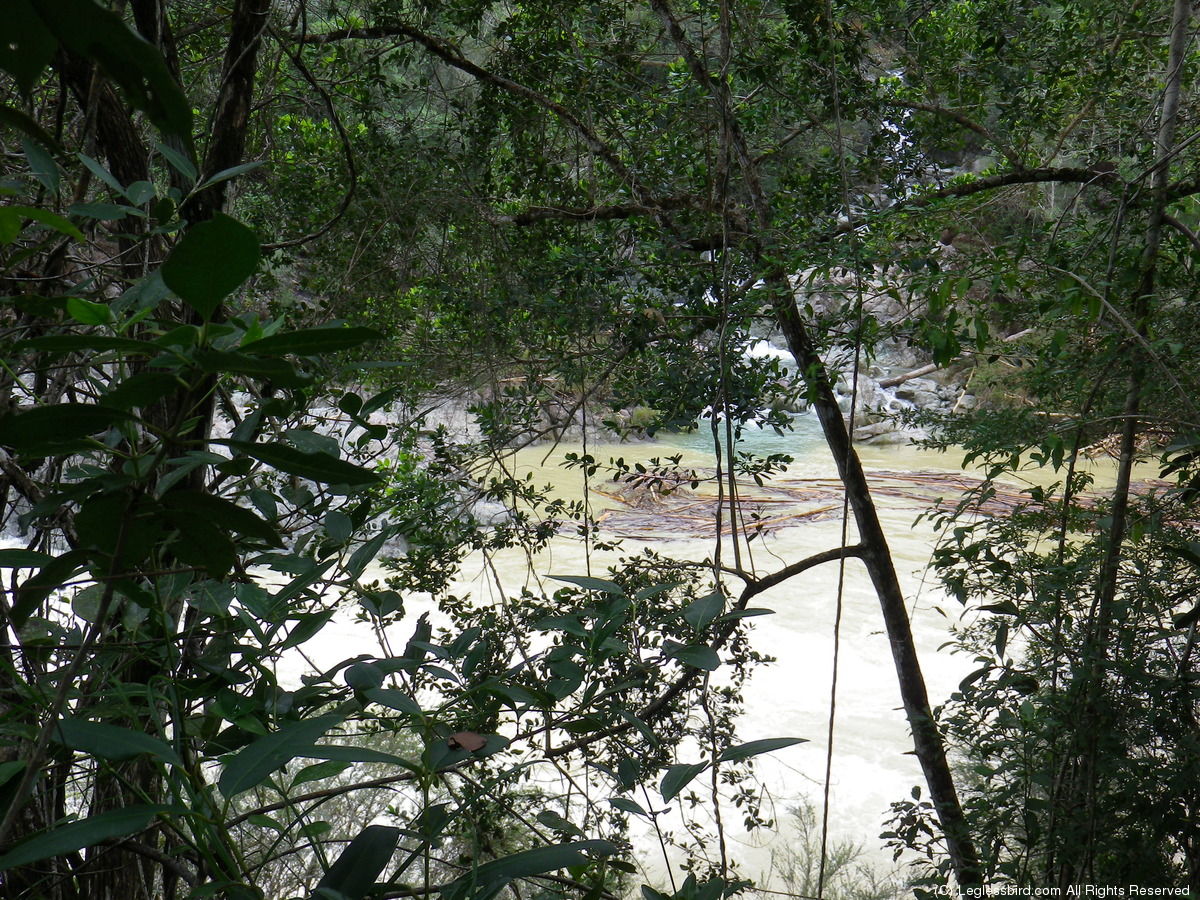 Hiking070.jpg