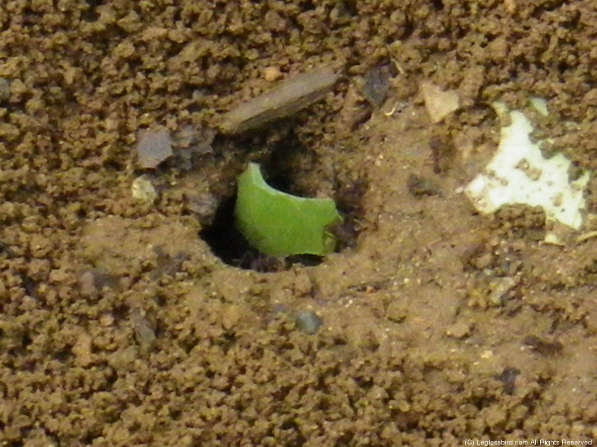 Hiking085.jpg
