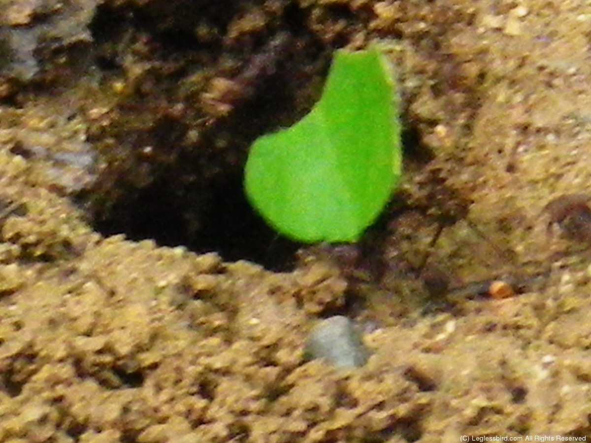 Hiking091.jpg