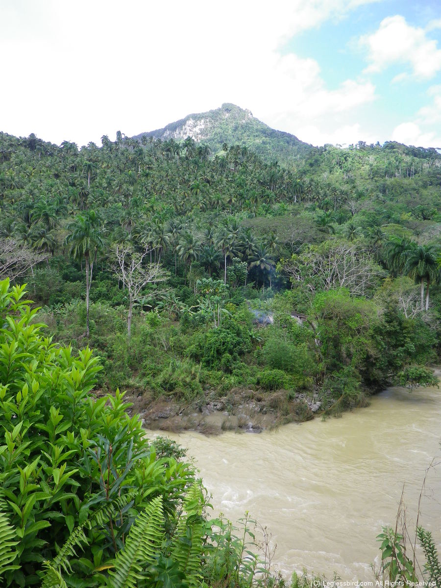Hiking093.jpg