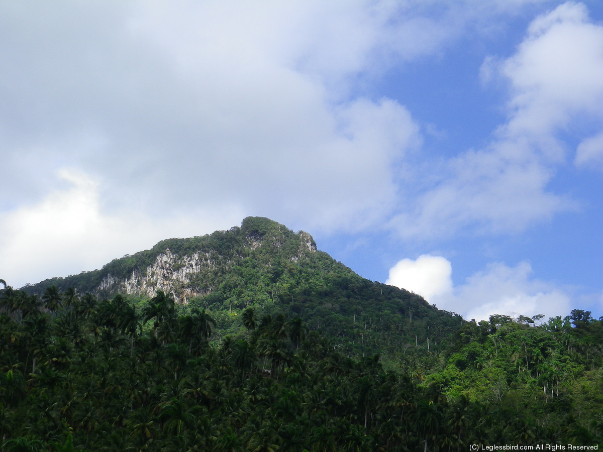 Hiking095.jpg