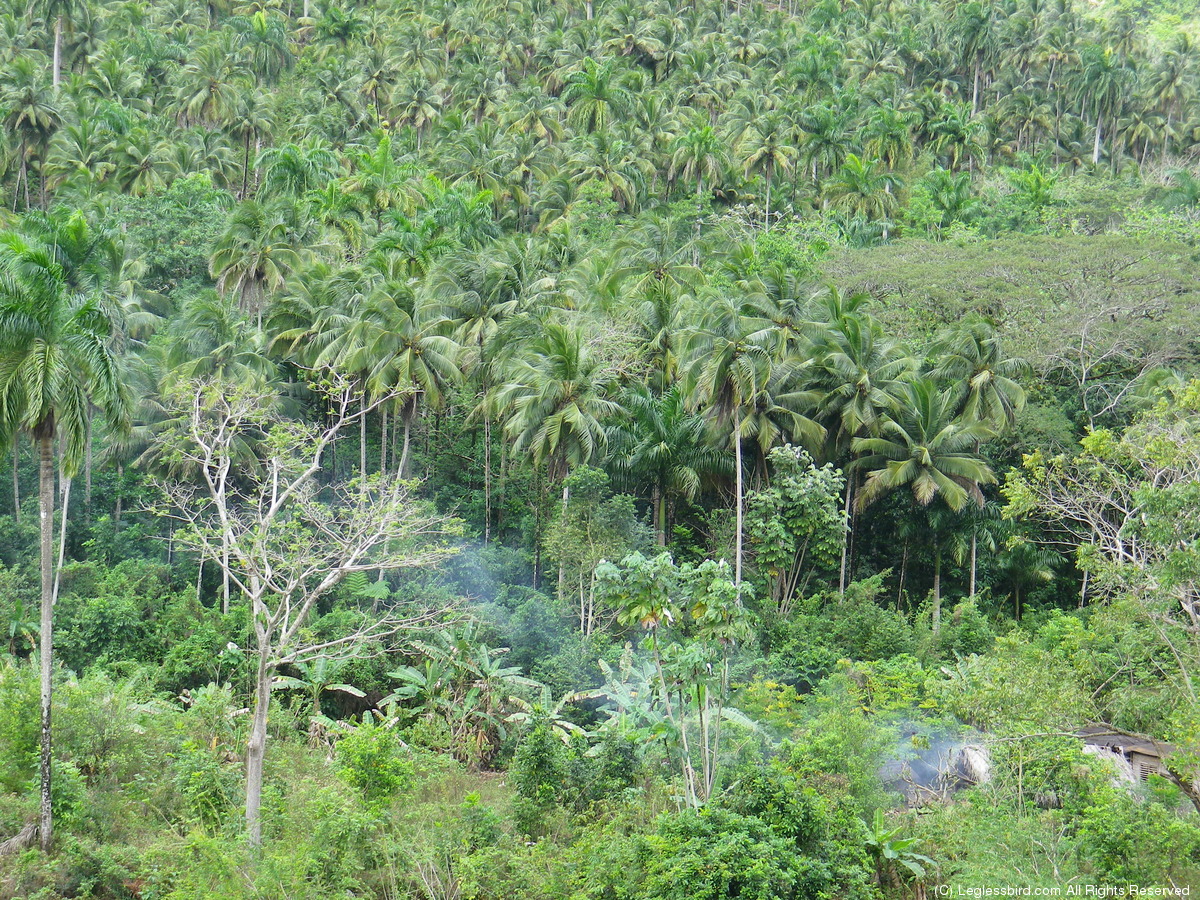 Hiking096.jpg
