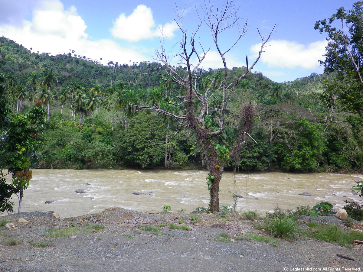 Hiking097.jpg