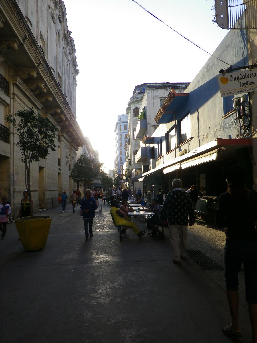 Havana271