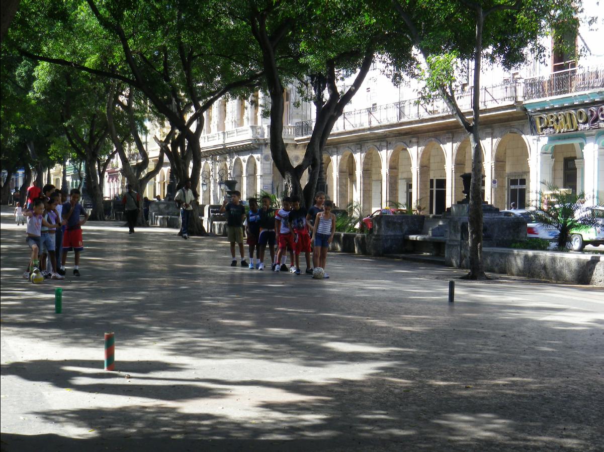 Havana312