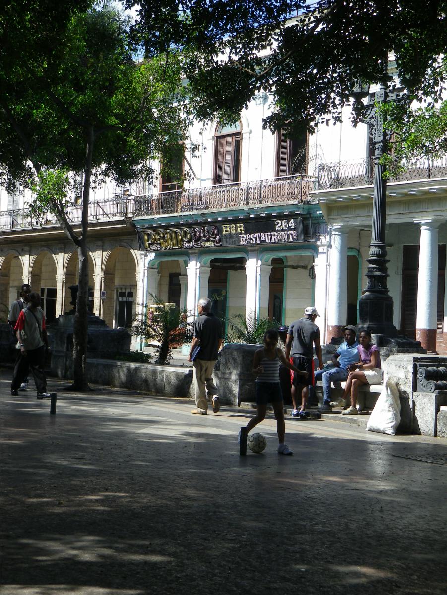 Havana313