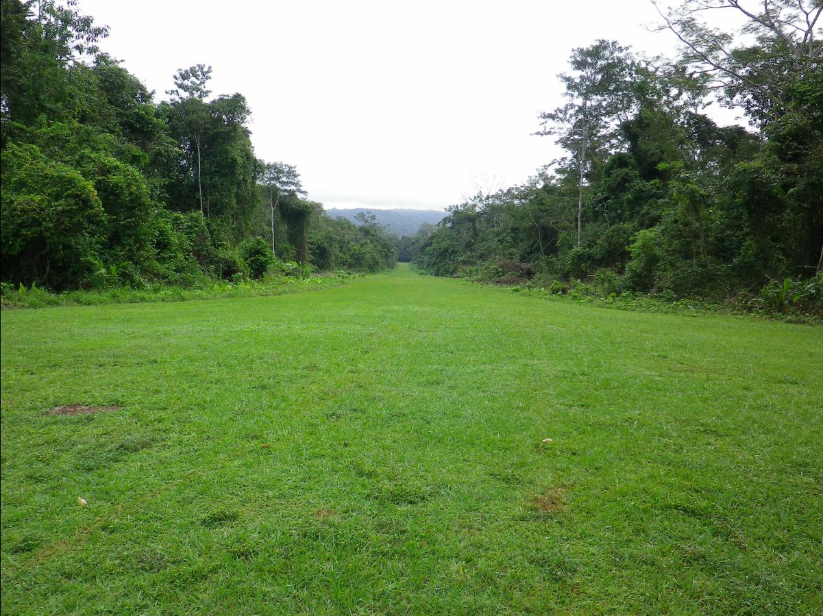Bonampak04