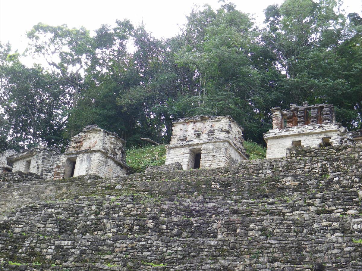 Bonampak24