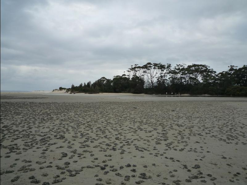 Jervis_Bay_Trip09